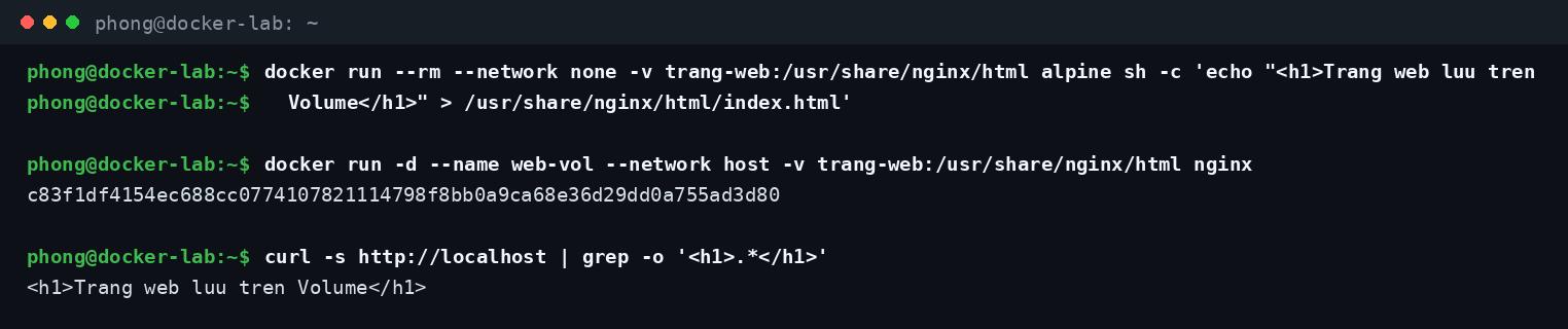 Chạy nginx gắn Volume đã nạp sẵn trang web và kiểm tra kết quả bằng curl