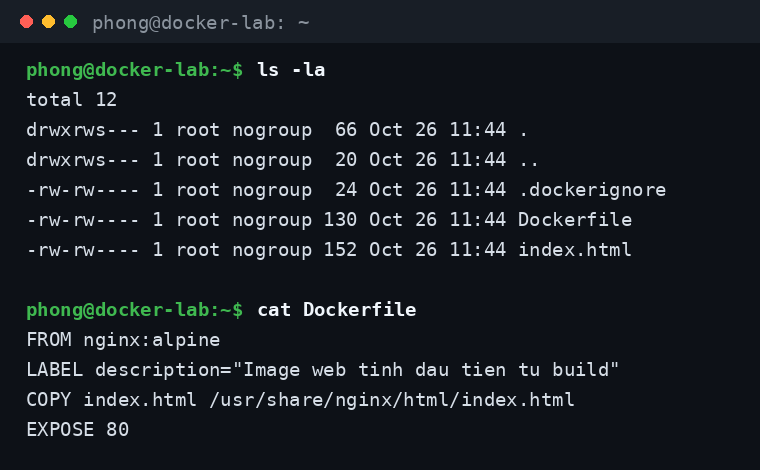 Thư mục project web tĩnh và nội dung file Dockerfile dùng để build image
