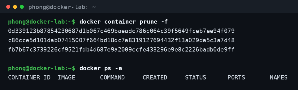Xóa toàn bộ container đã dừng bằng lệnh docker container prune