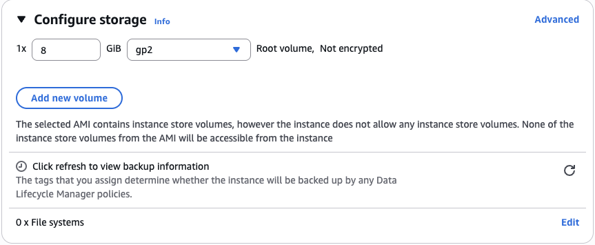 Cấu hình Storage mặc định cho EC2 instance