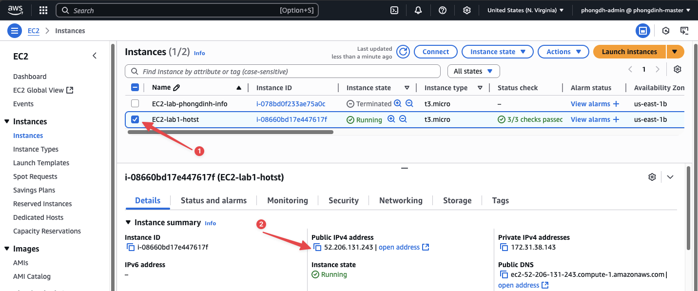 Lấy địa chỉ Public IP của EC2 instance