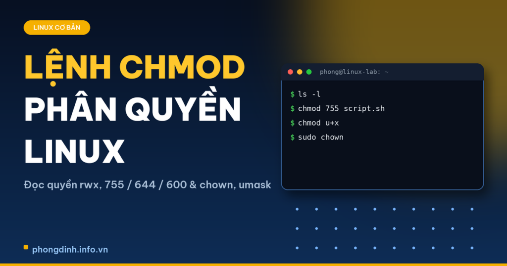 Lệnh Chmod Trong Linux: Phân Quyền File Và Thư Mục Chuẩn Nhất Cho Người Mới