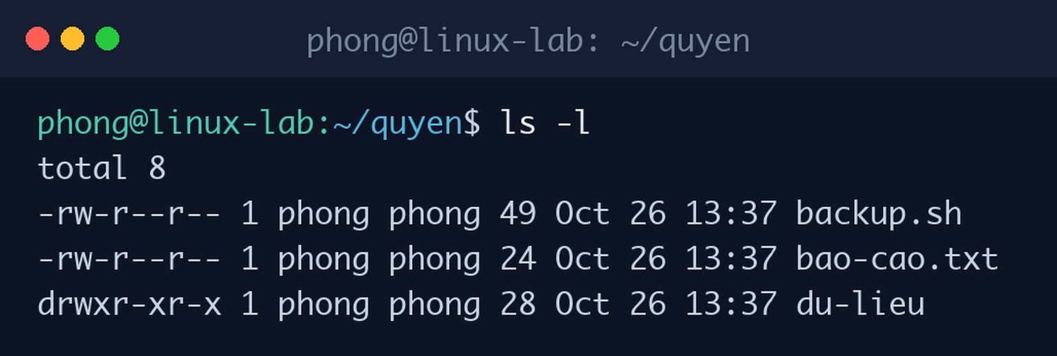 Đọc quyền rwx của file và thư mục từ cột đầu tiên trong kết quả lệnh ls -l trên Ubuntu