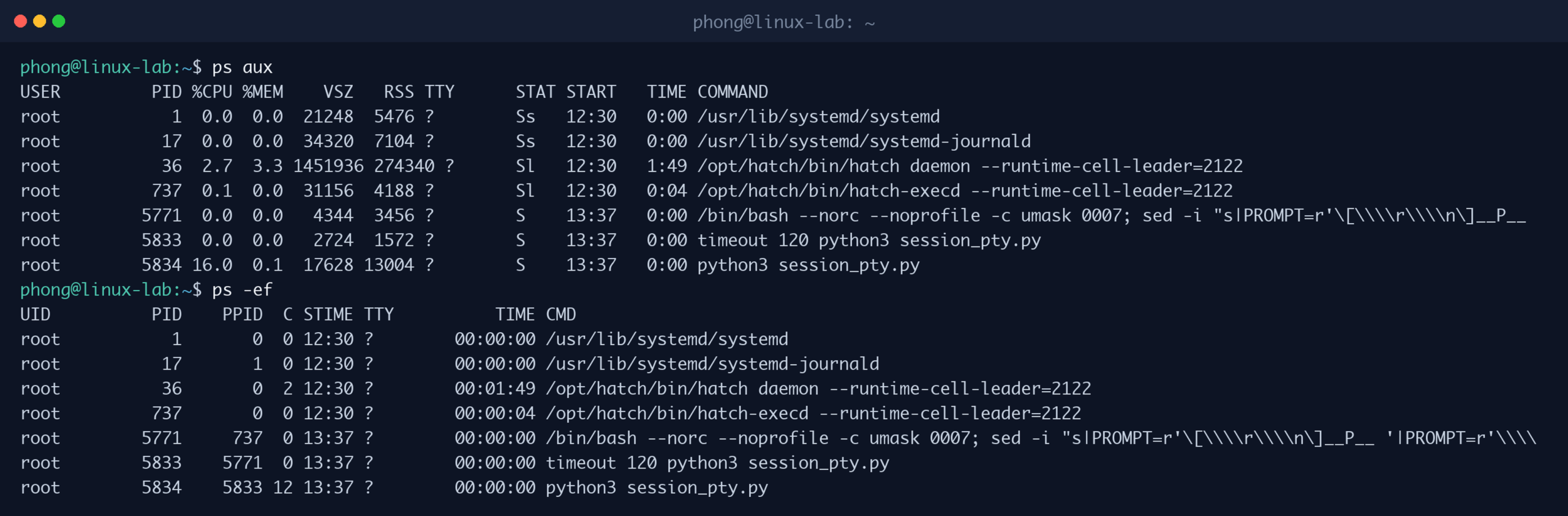 Danh sách tiến trình bằng ps aux và ps -ef, hai dạng hiển thị phổ biến khi quản lý tiến trình trong Linux