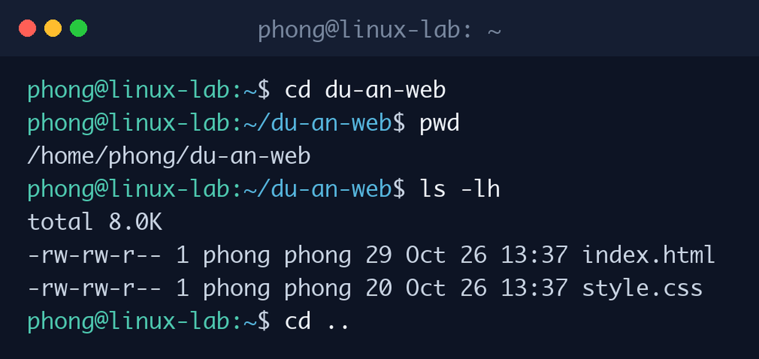 Di chuyển bằng lệnh cd vào thư mục con, kiểm tra pwd và quay lại thư mục cha trên Ubuntu