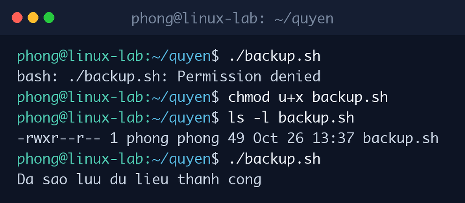 Chạy script bị Permission denied, cấp quyền thực thi bằng chmod u+x rồi chạy thành công