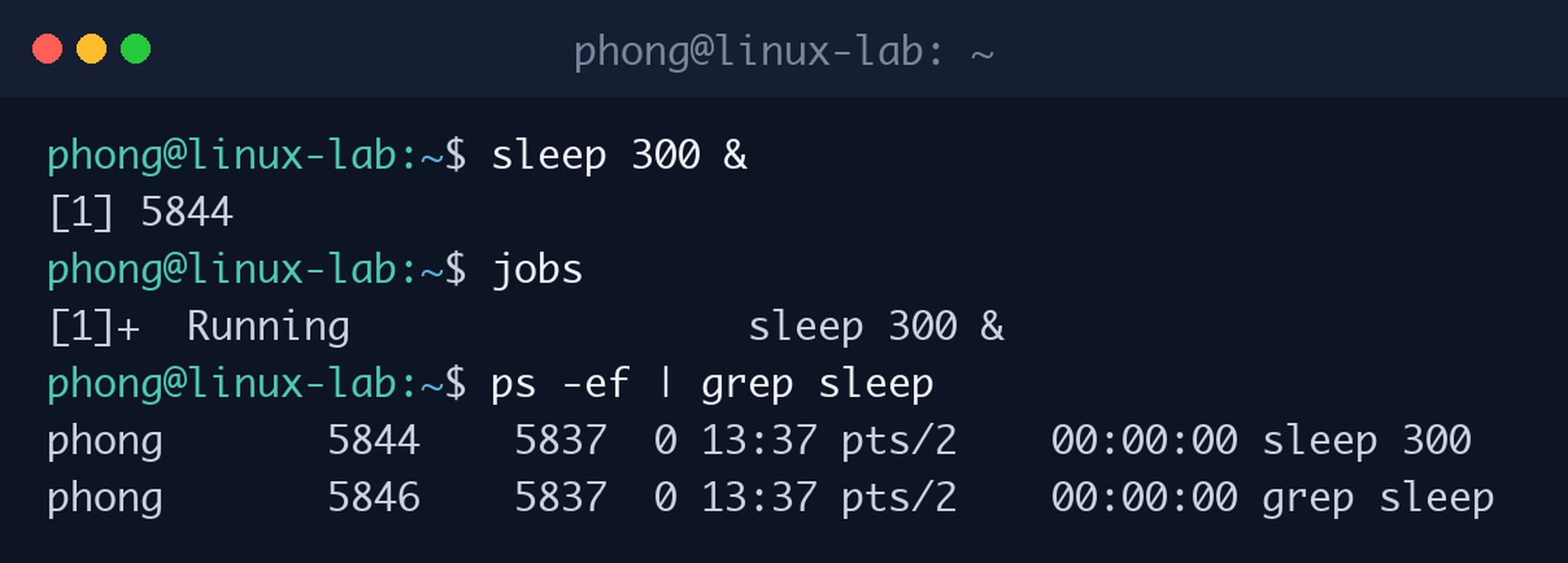 Chạy lệnh sleep ở chế độ nền bằng ký hiệu &, xem danh sách bằng jobs và tìm tiến trình bằng ps