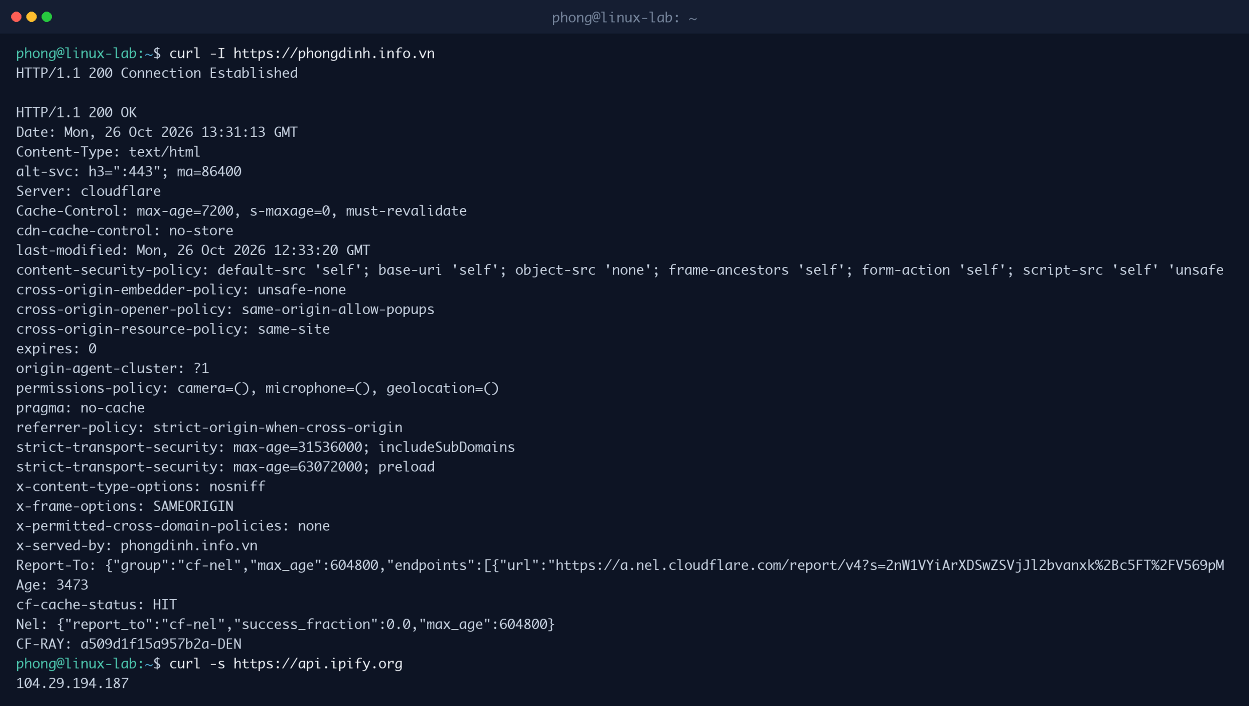 Kiểm tra phản hồi HTTP của website bằng curl -I và lấy địa chỉ IP công cộng bằng curl