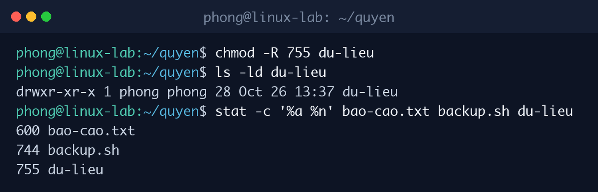 Chmod đệ quy bằng chmod -R, kiểm tra quyền thư mục và xem quyền dạng số bằng lệnh stat