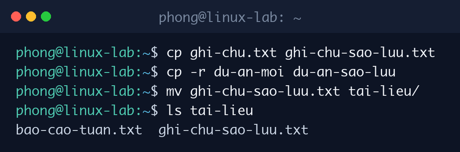 Sao chép file bằng cp, sao chép thư mục bằng cp -r và di chuyển file bằng lệnh mv