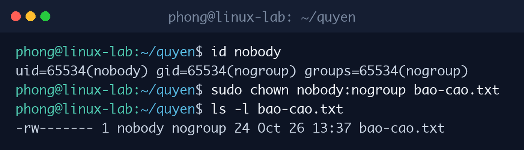 Xem thông tin user bằng id, đổi chủ sở hữu file bằng sudo chown và kiểm tra kết quả