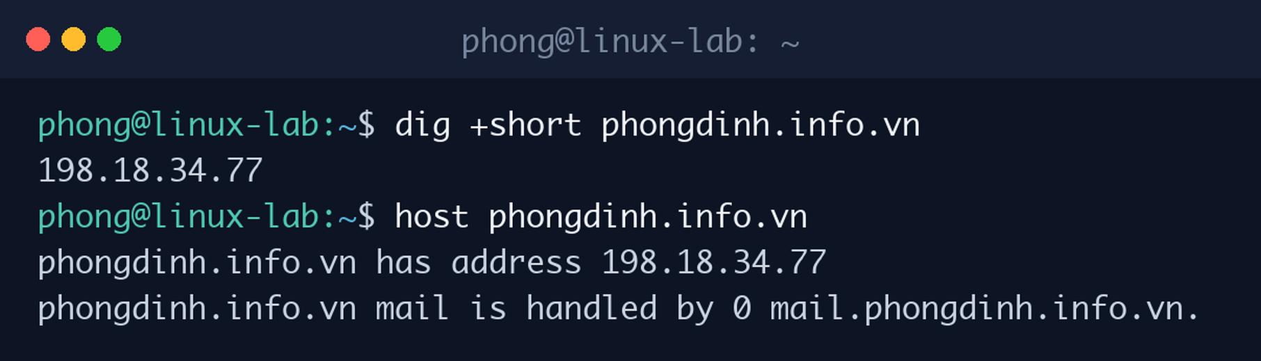 Tra cứu địa chỉ IP của tên miền bằng dig +short và kiểm tra nhanh bằng lệnh host