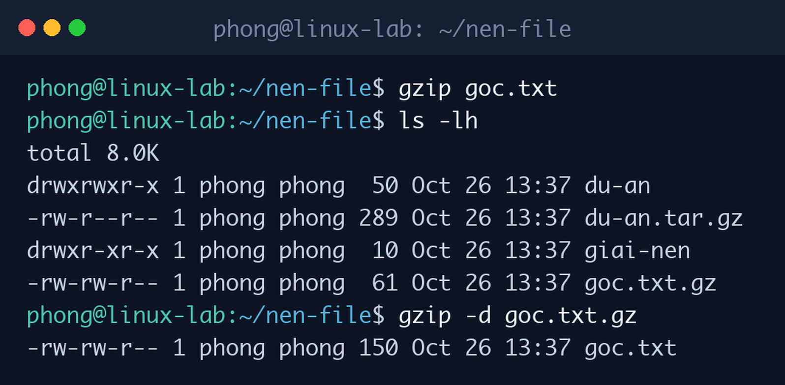 Nén một file bằng gzip, kiểm tra dung lượng rồi giải nén lại bằng gzip -d