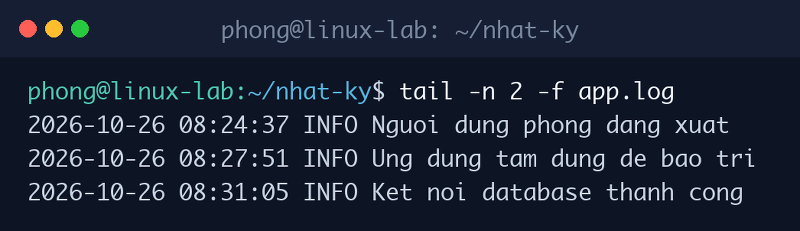 Theo dõi log trực tiếp bằng tail -f, dòng log mới hiện lên ngay khi được ghi vào file